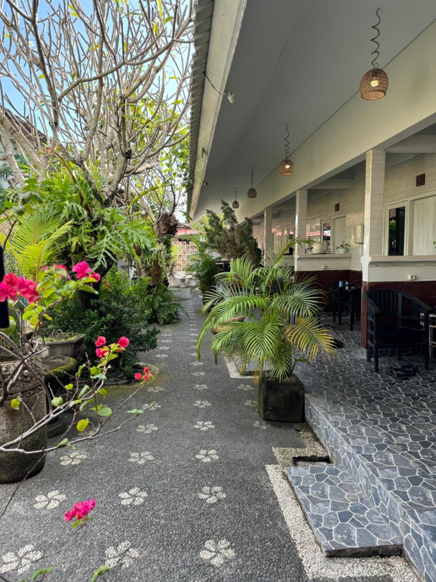 Guest House Home 46 Bali Canggu Buitenkant foto